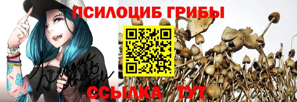 Галлюциногенные грибы прущие грибы  Вход с VPN  Аша 
