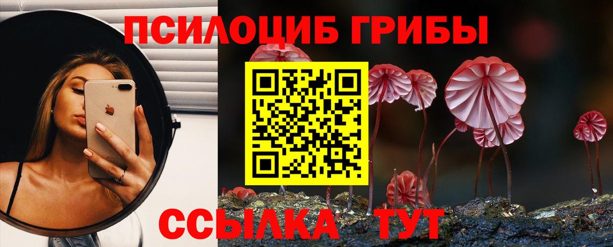 Псилоцибиновые грибы Cubensis Аша